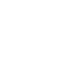 AI Consulting