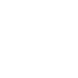 Our Values