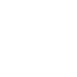 Our Vision